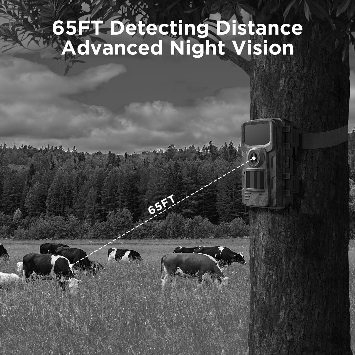 Trail Camera with SD Card 40MP 4K Infrared Night Vision Waterproof Motion Activated 120° Wide Angle 2.0" LCD K96422