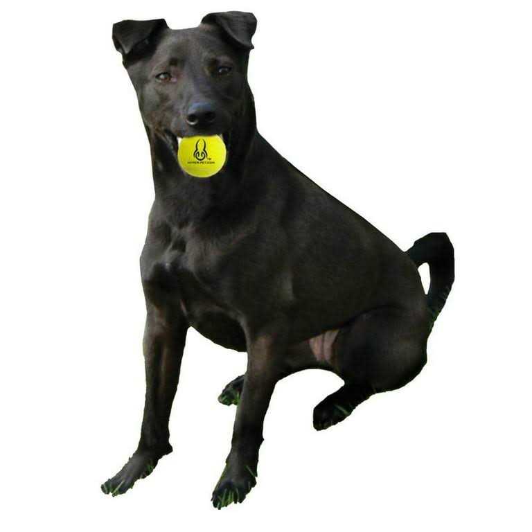 Tennis Balls P777
