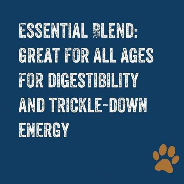 Premium Dog Food S23208