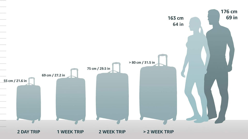 Carbon Hardside Spinner Wheel Luggage, Carry-On 20-Inch Q87768