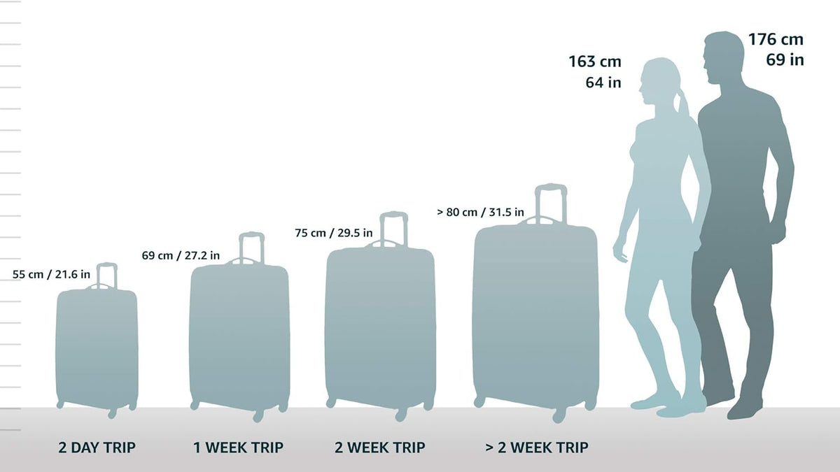 Carbon Hardside Spinner Wheel Luggage, Carry-On 20-Inch Q87768