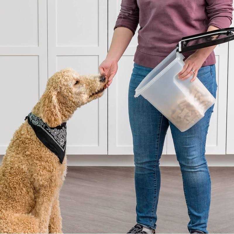 Black Airtight Pet Food Storage Container T84357