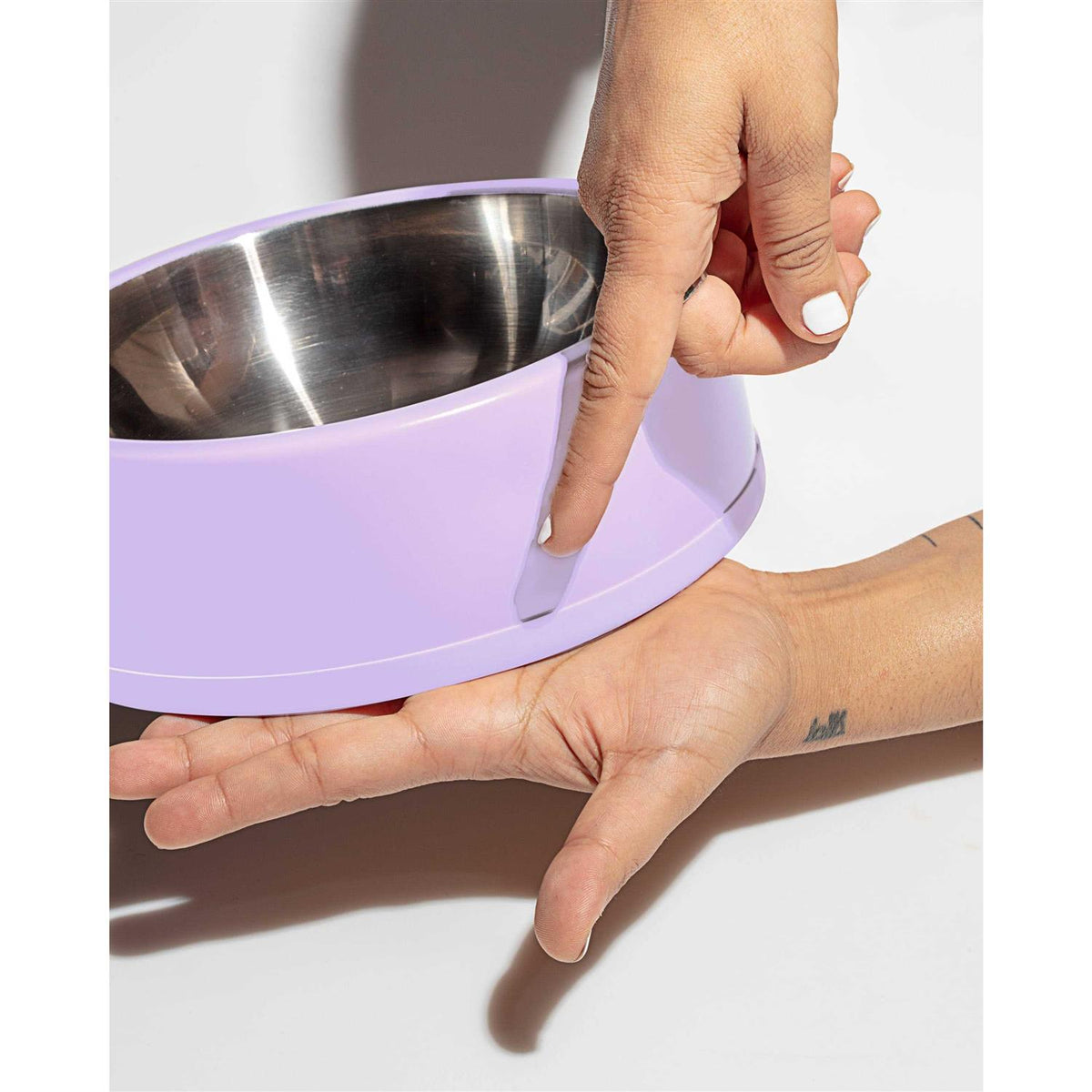 Pet Bowl Q48254