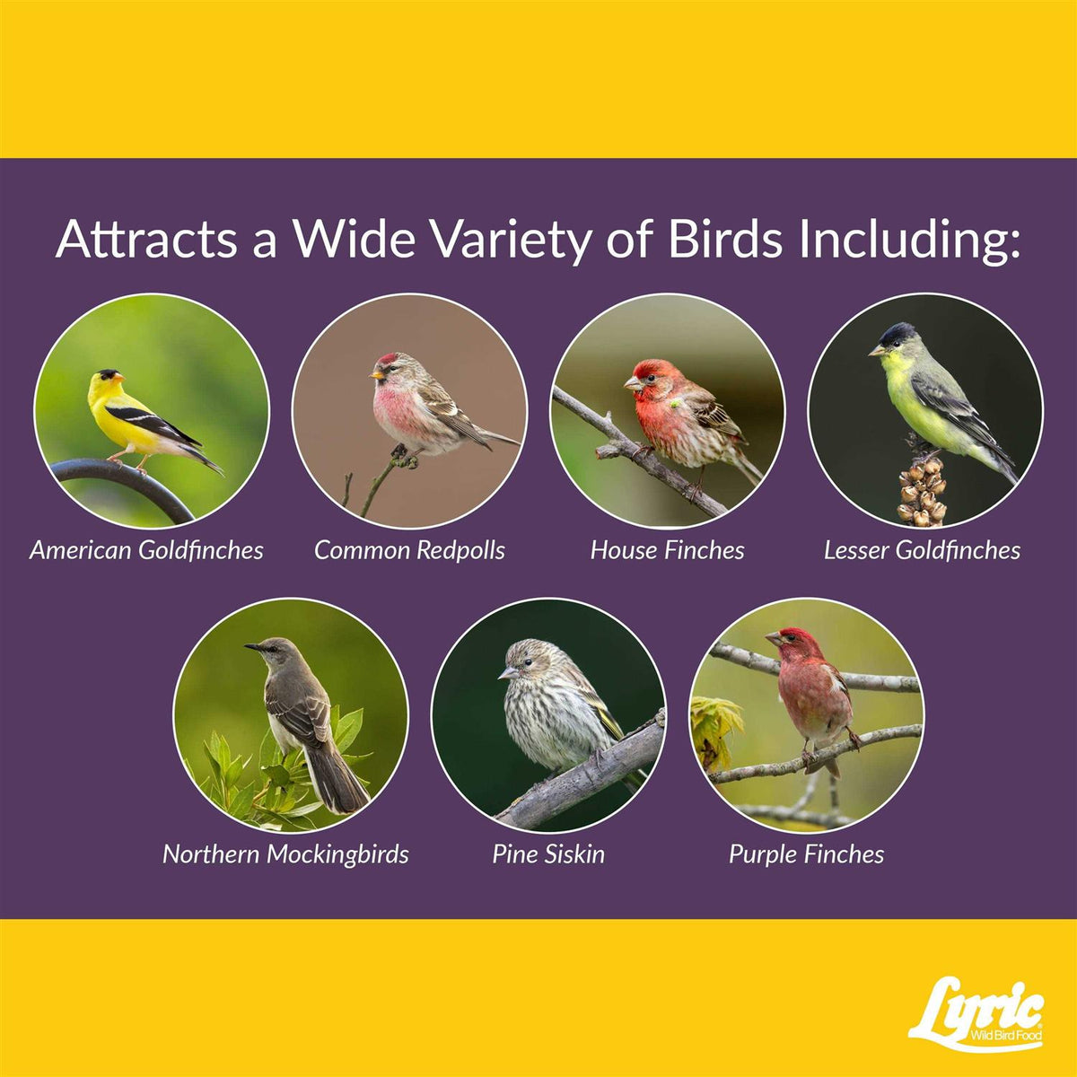 Small Songbird Wild Bird Food Q8553