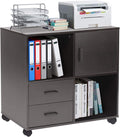 2 Drawer Wood File Cabinet with Shelves and Wheels A55817
