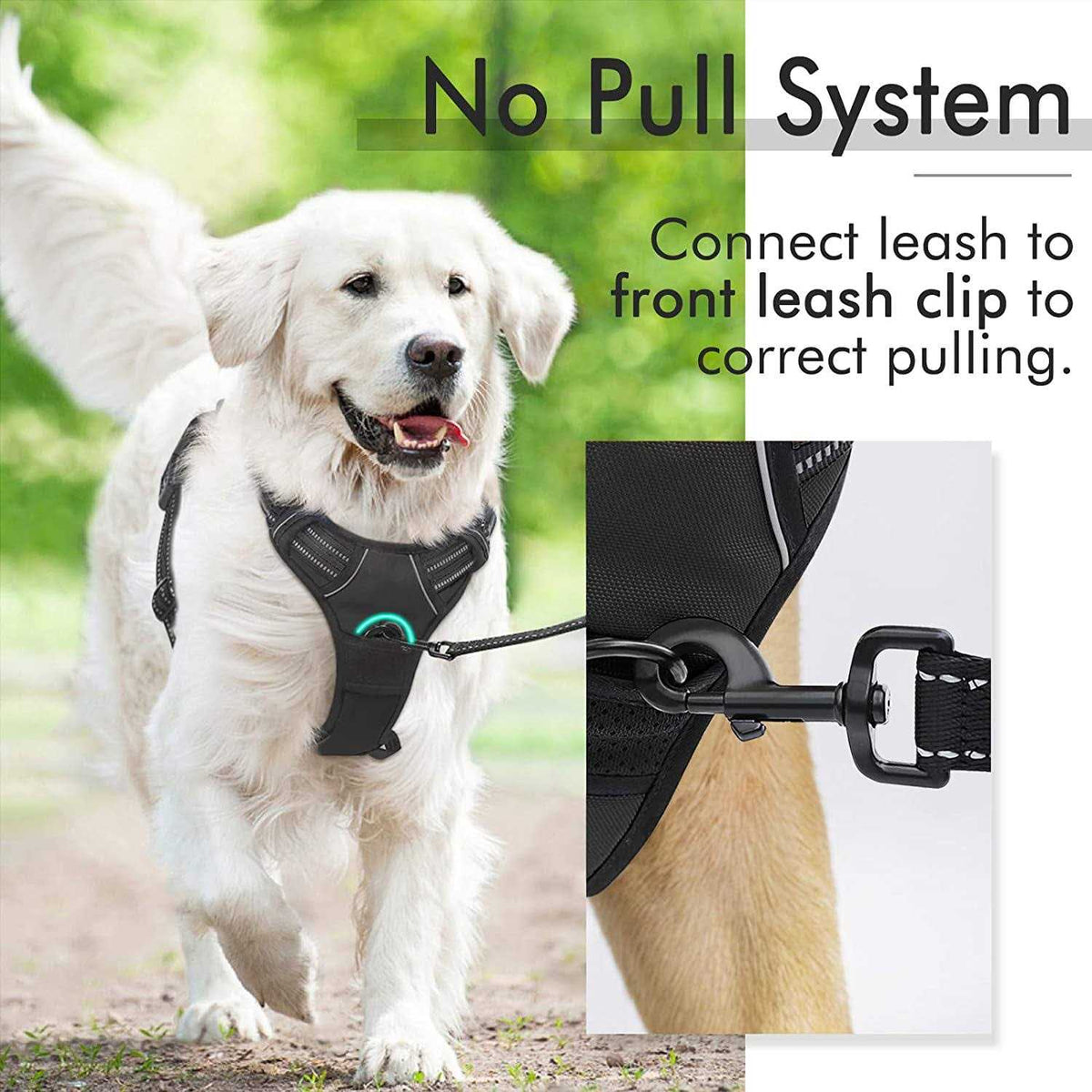 Adjustable Padded Dog Harness with 2 Leash Clips R957