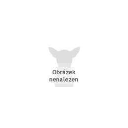 Grain Friendly Indoor Cat Food B21007