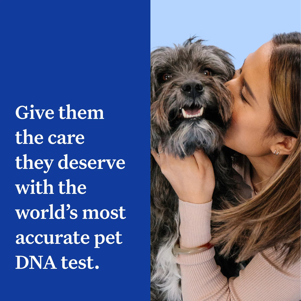 Dog DNA Test Kit M25081
