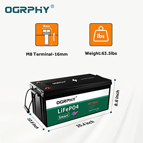 36V 3.84KWh Lithium Golf Cart Battery O839313
