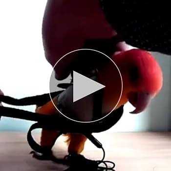 Adjustable Bird Harness and Leash G362