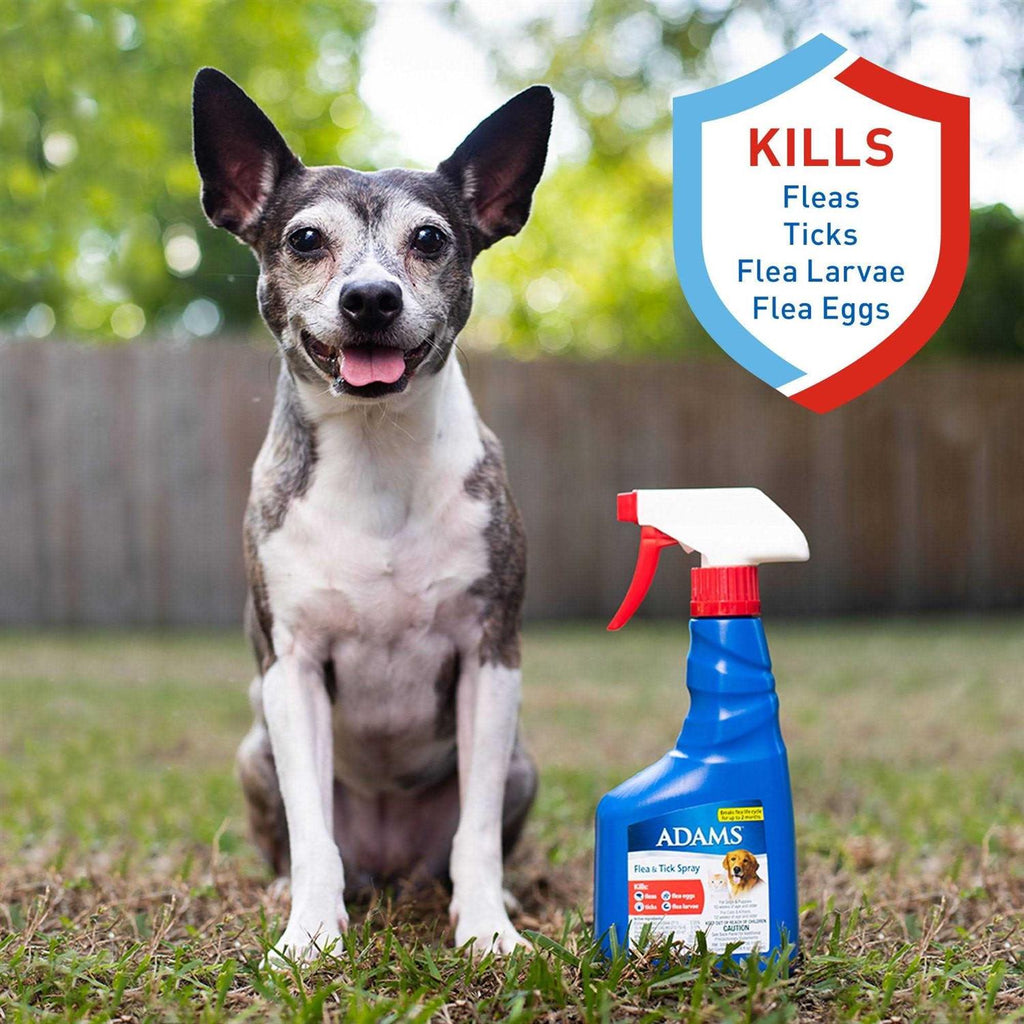 Flea Tick Spray B97779