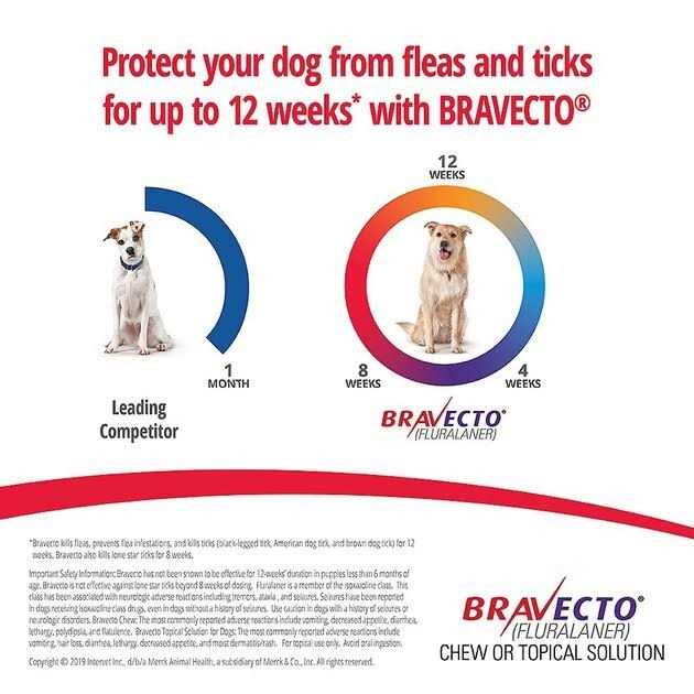 Bravecto Chews for Dogs V250356
