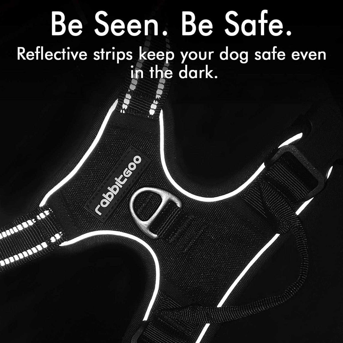 Adjustable Padded Dog Harness with 2 Leash Clips R957