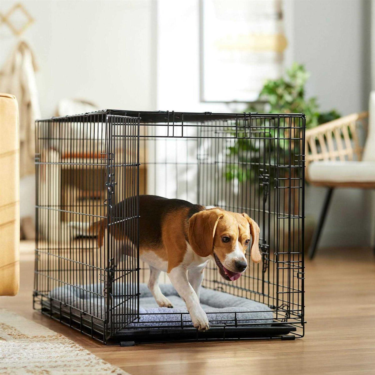 Heavy Duty Fold & Carry Double Door Collapsible Wire Dog Crate D670
