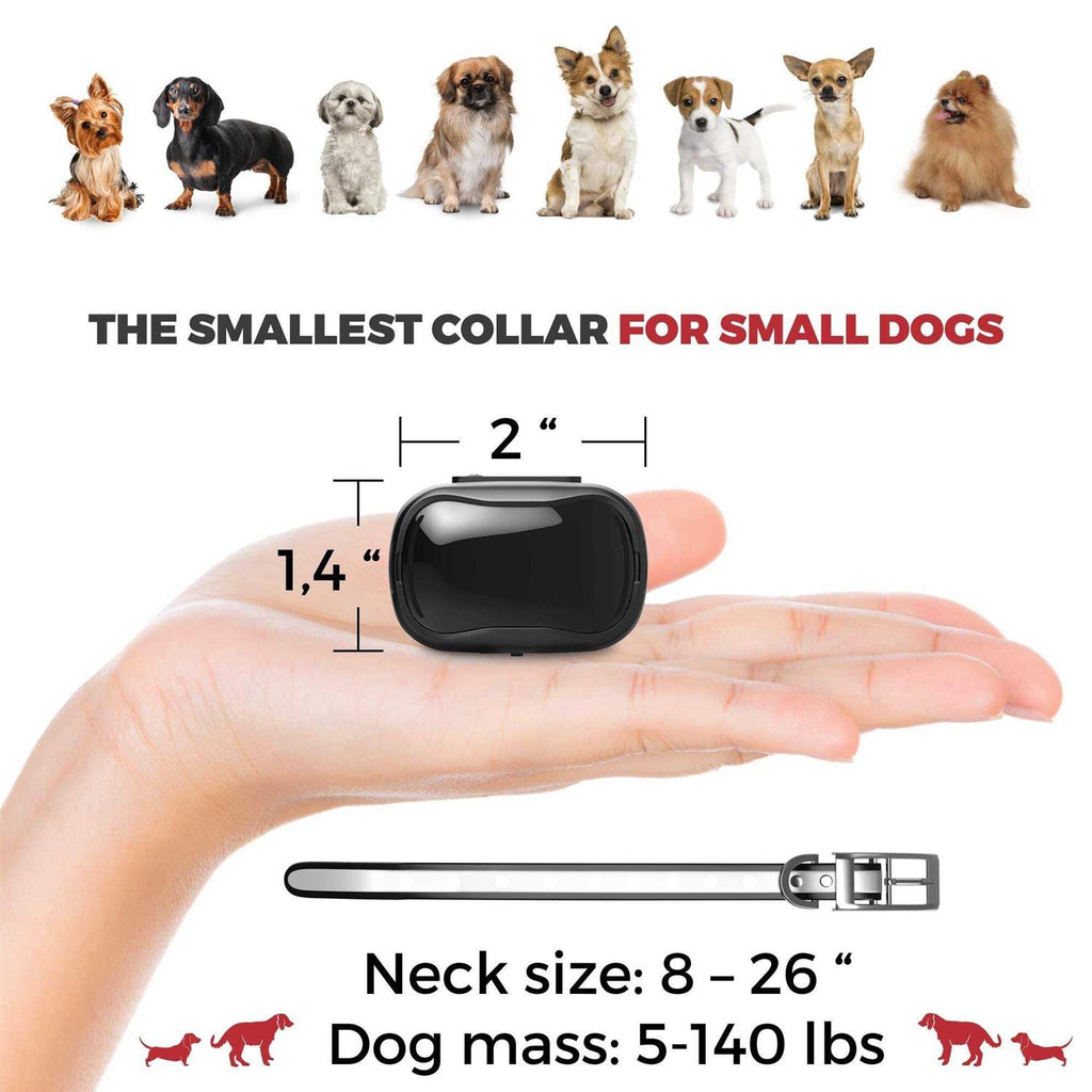 Extra Small Dog Training Collar with Remote M239985