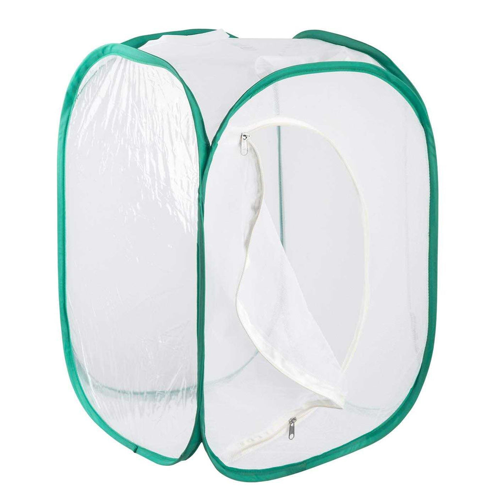 Insect and Butterfly Habitat Terrarium O37326
