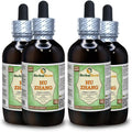 Polygonum Cuspidatum Dried Root Alcohol-Free Liquid Extract 4x120 ml F9220