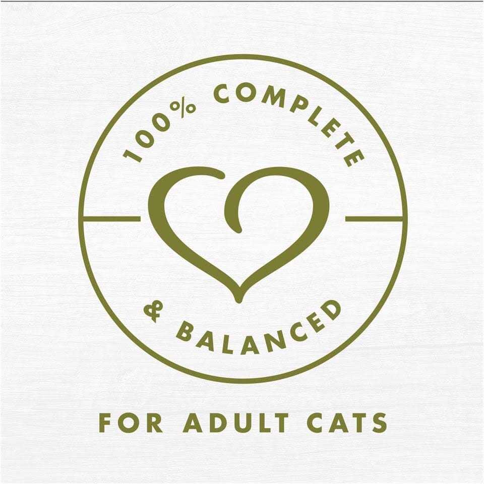 White Meat Chicken Recipe in Gravy Wet Cat Food N615770