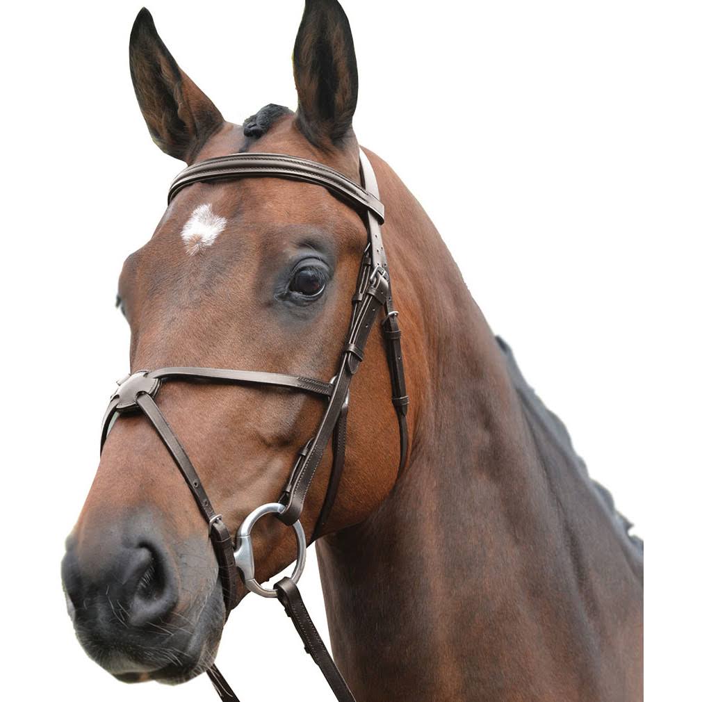 Brown Grackle Bridle Y3643