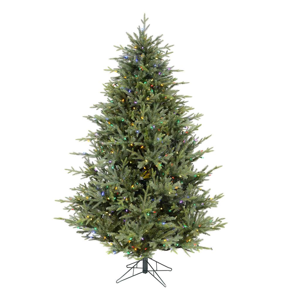 6.5 ft. 56 in. LED Y206