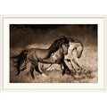 White Frame Photographic Print I943