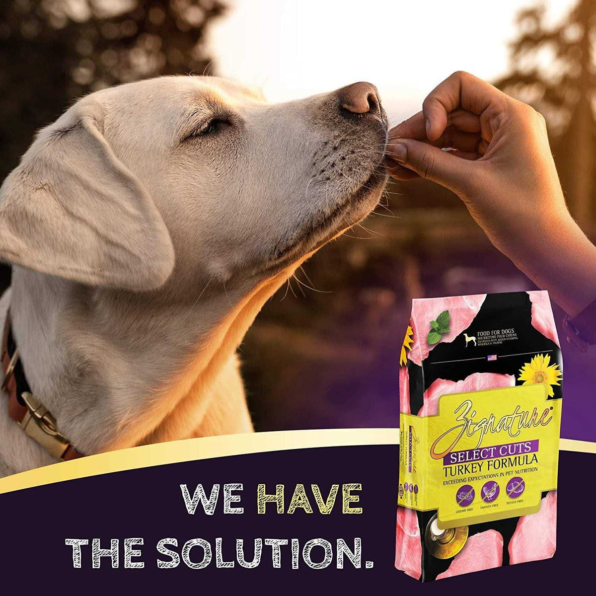 Turkey Formula Dry Dog Food W161383
