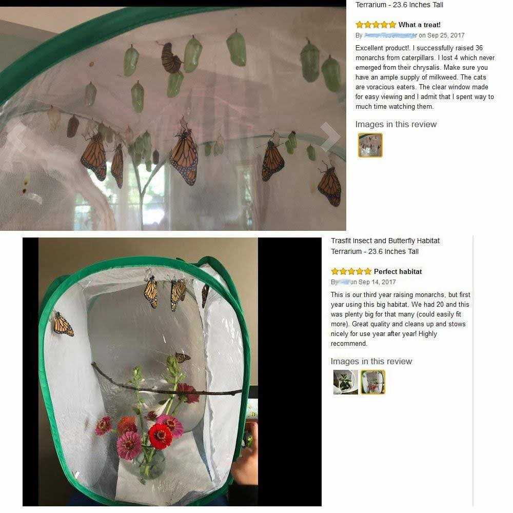 Insect and Butterfly Habitat Terrarium O37326