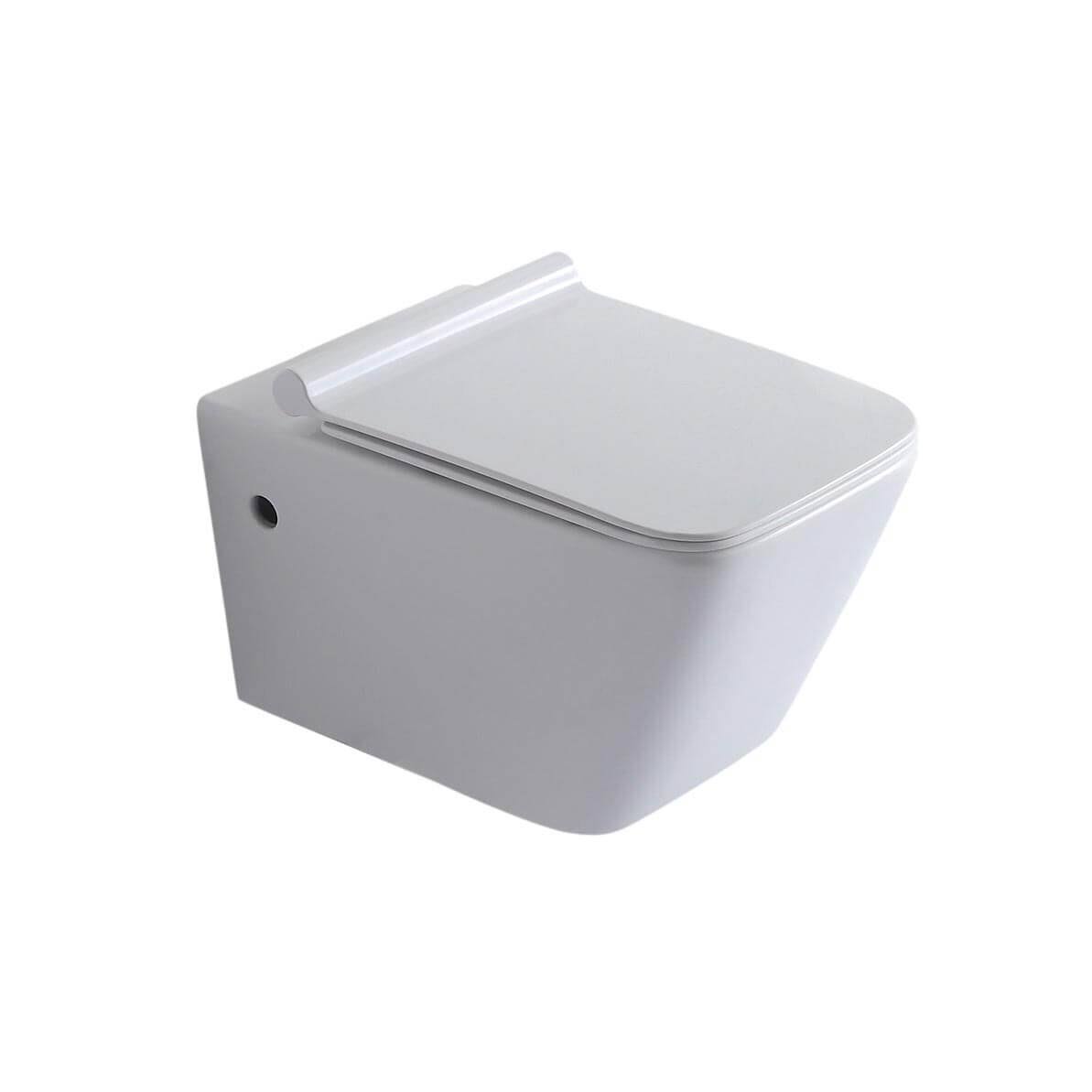 Wall Hung Toilet with Seat M717