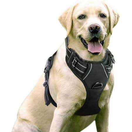 Adjustable Padded Dog Harness with 2 Leash Clips R957