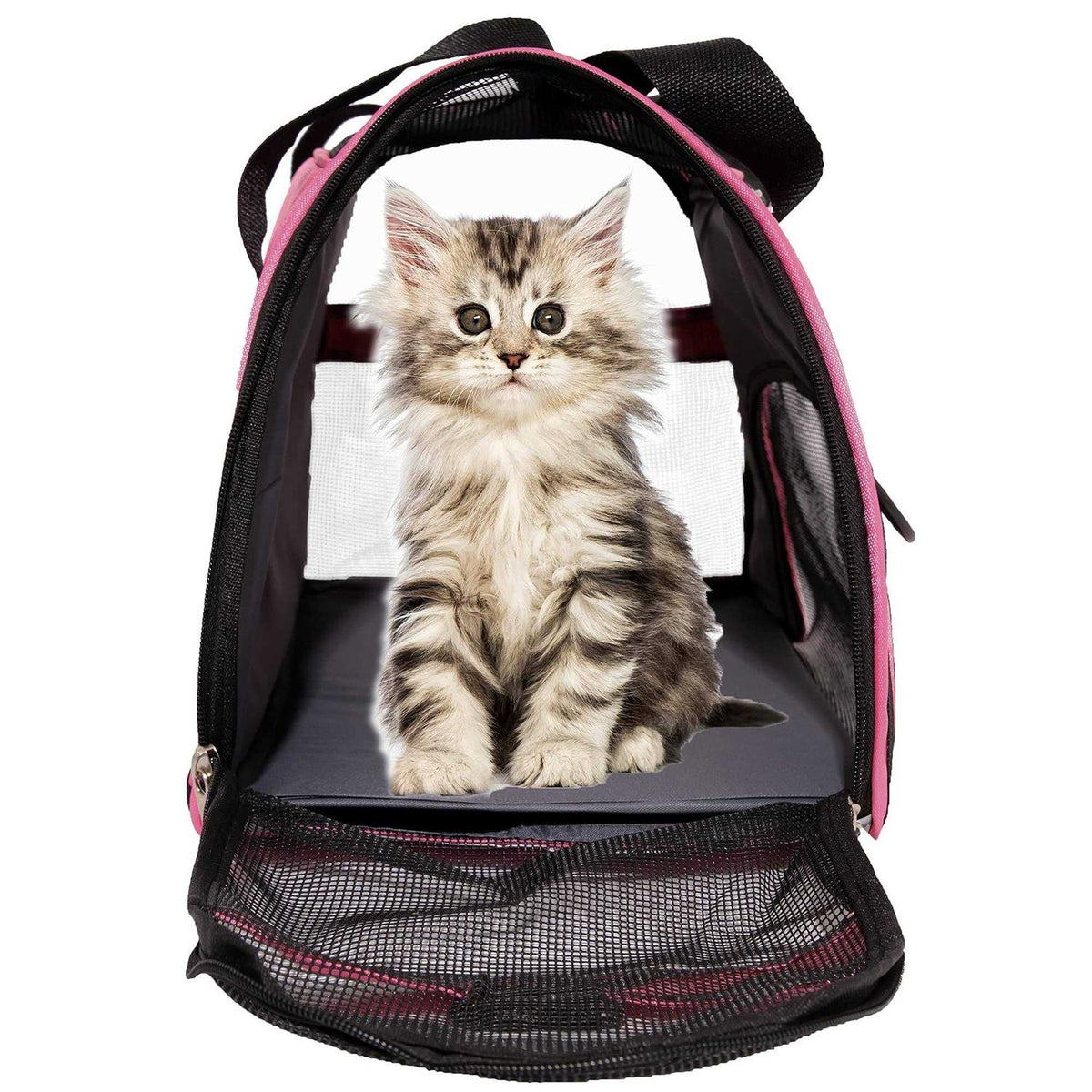 Soft-Sided Pet Travel Carrier S9994