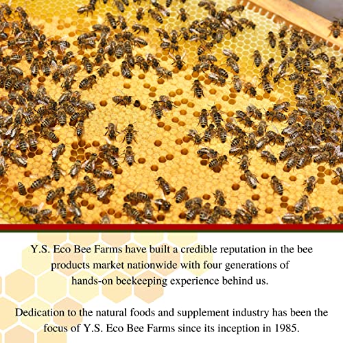 1 Lb Organic Raw Honey Y888664