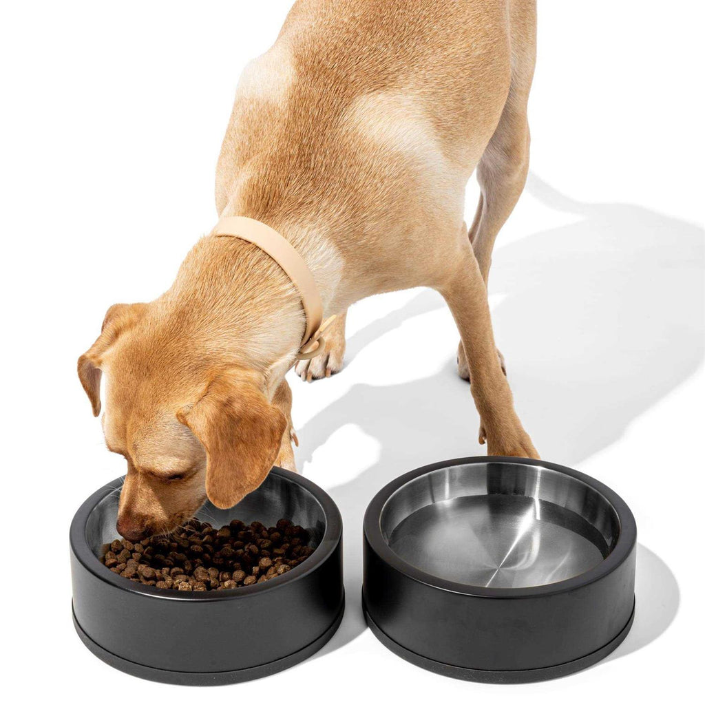 Pet Bowl Q48254