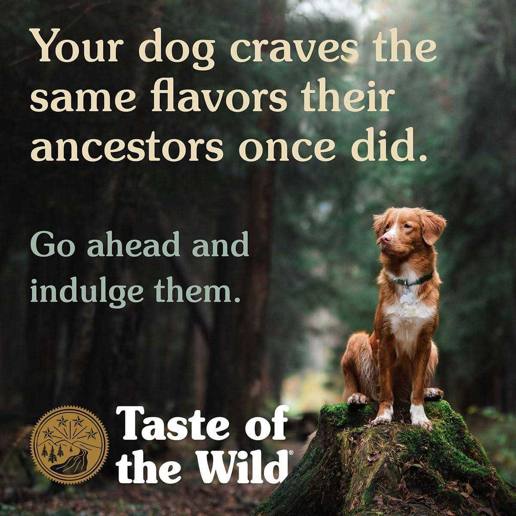 Salmon Dog Food W854425
