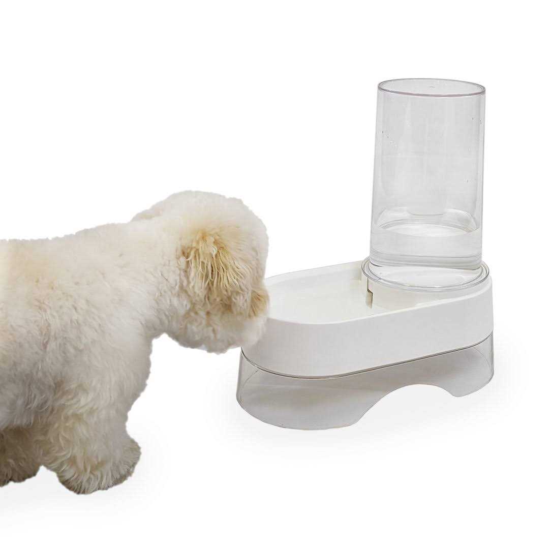 Elevated Gravity Pet Water Dispenser J748922