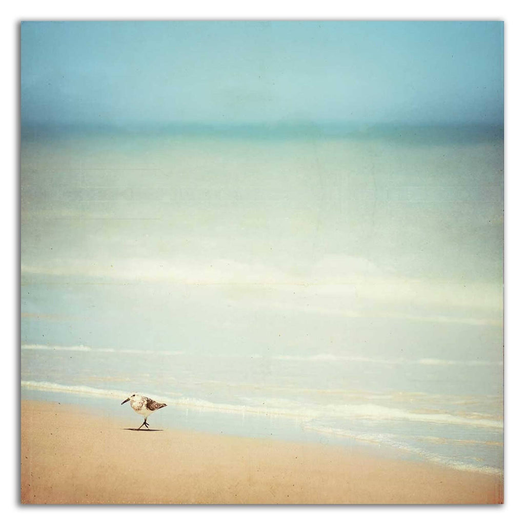 Get Your Feet Wet Print on Canvas O149