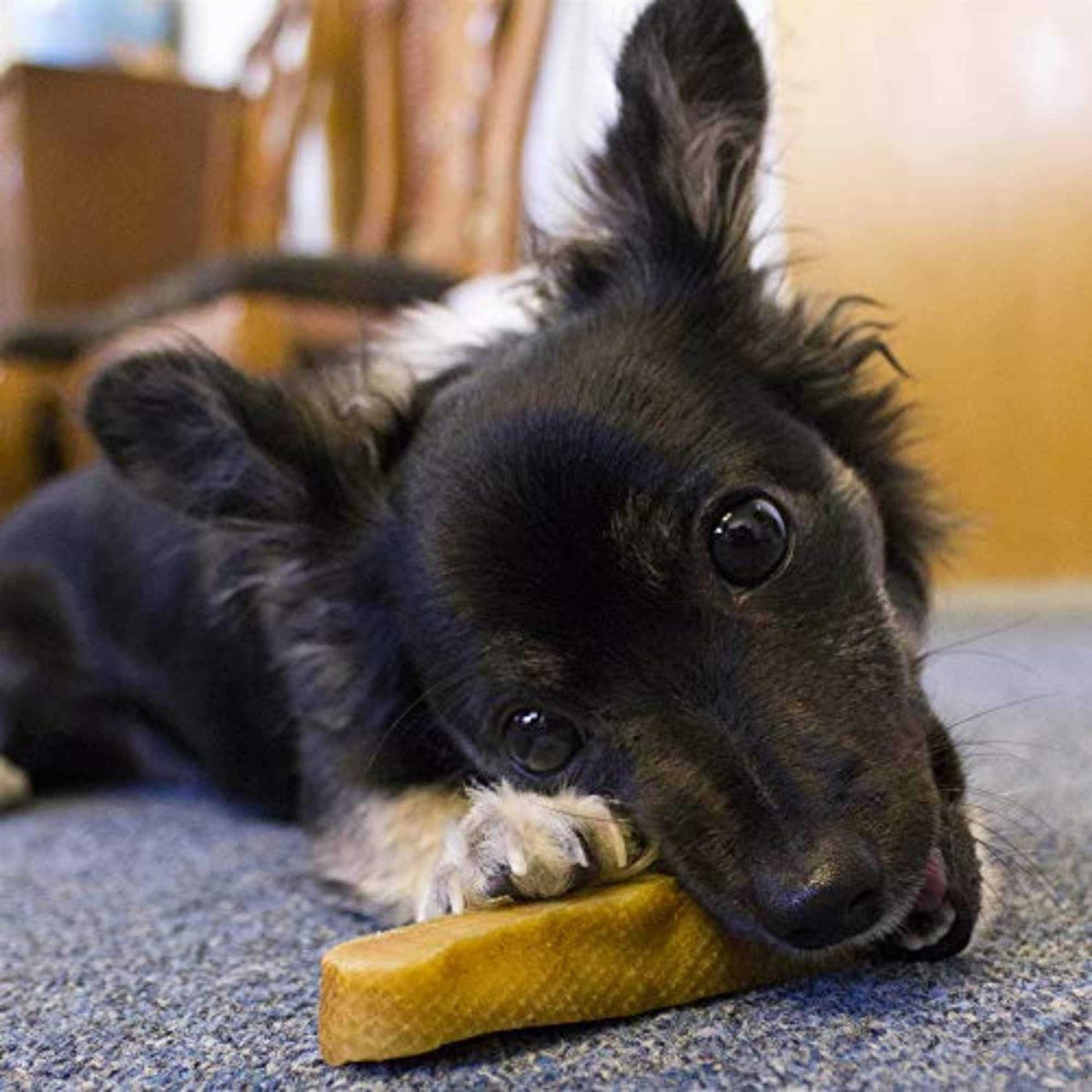 Himalayan Yak Cheese Dog Chew F10139