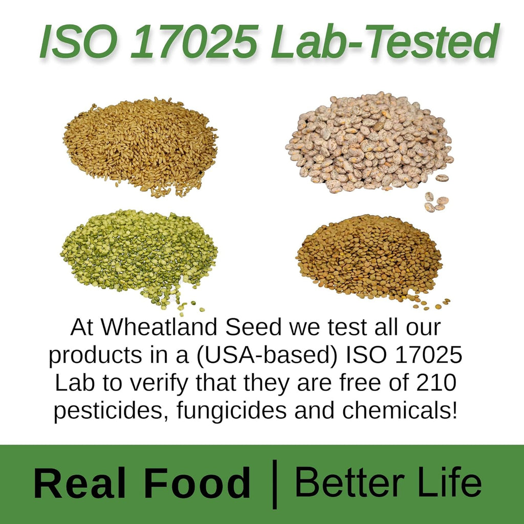 Soft White Wheat Berries 23 lbs Z873783