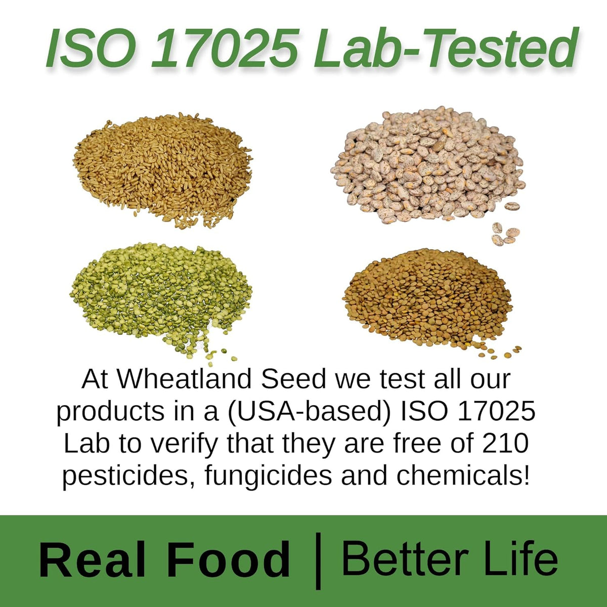 Soft White Wheat Berries 23 lbs Z873783