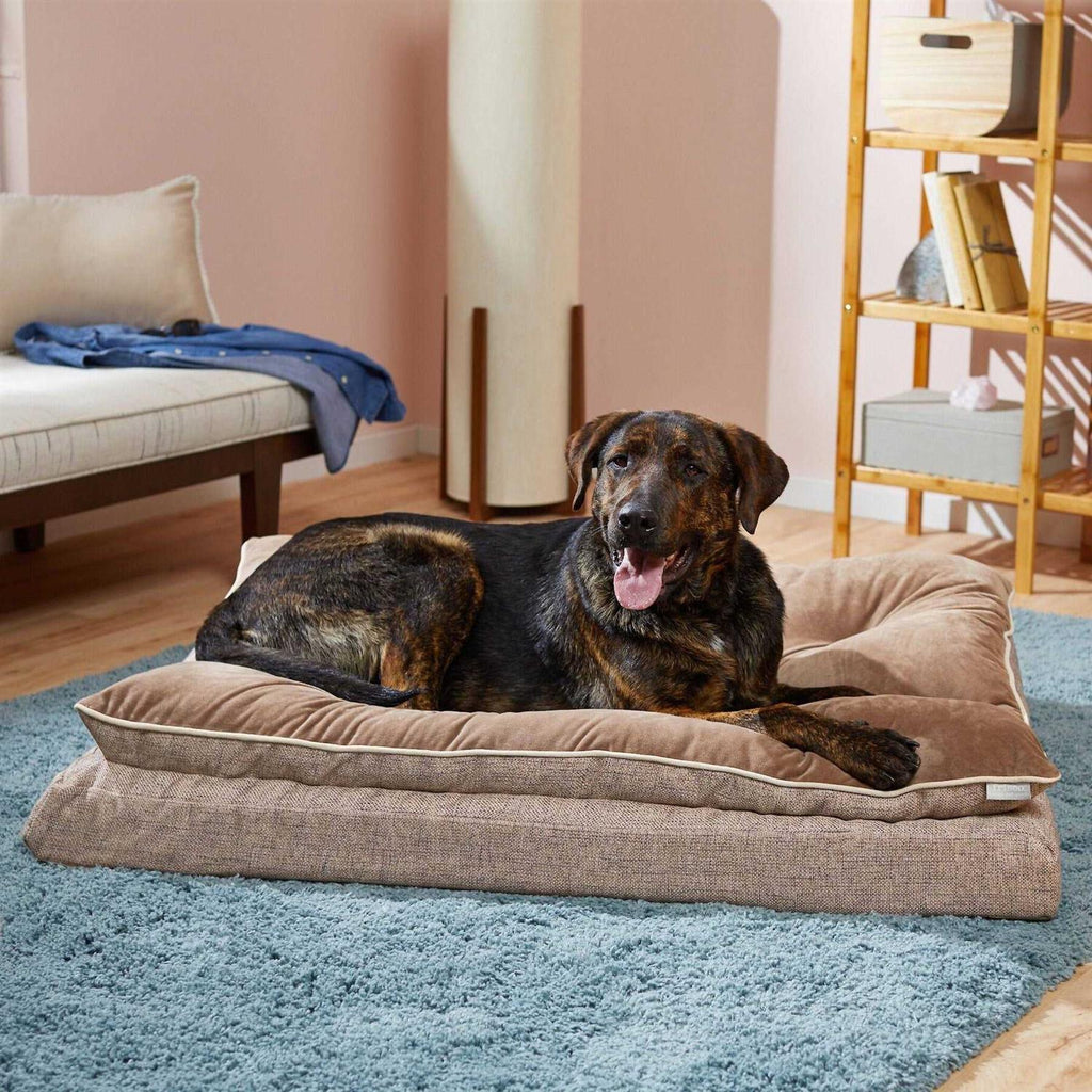 Plush Orthopedic Pillowtop Dog Bed with Removable Cover R390331