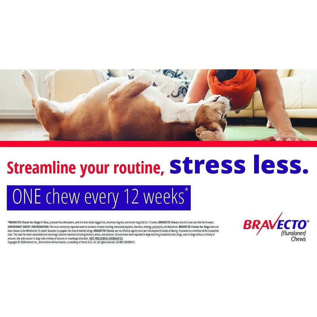 Bravecto Chews for Dogs V250356