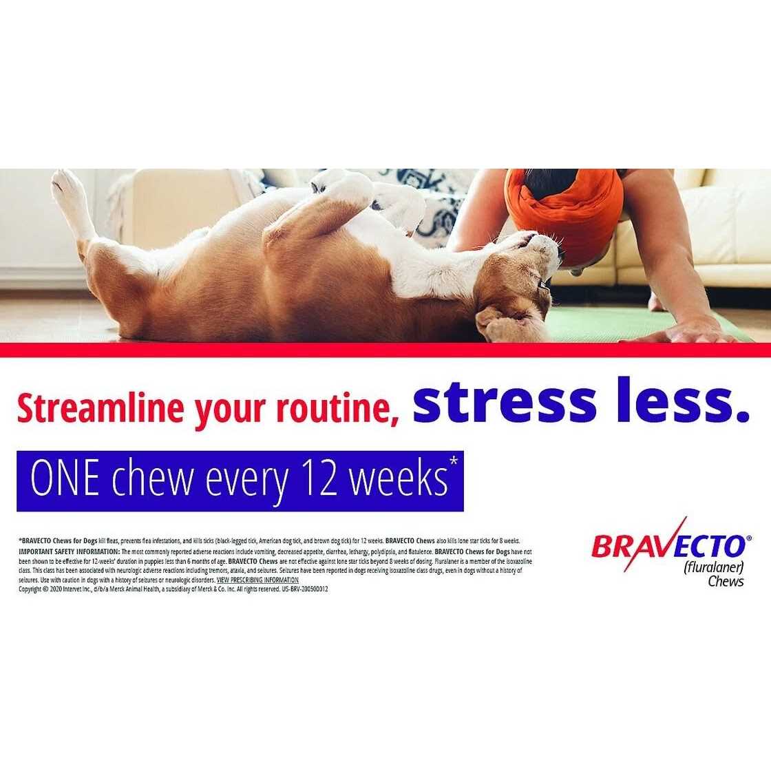Bravecto Chews for Dogs V250356