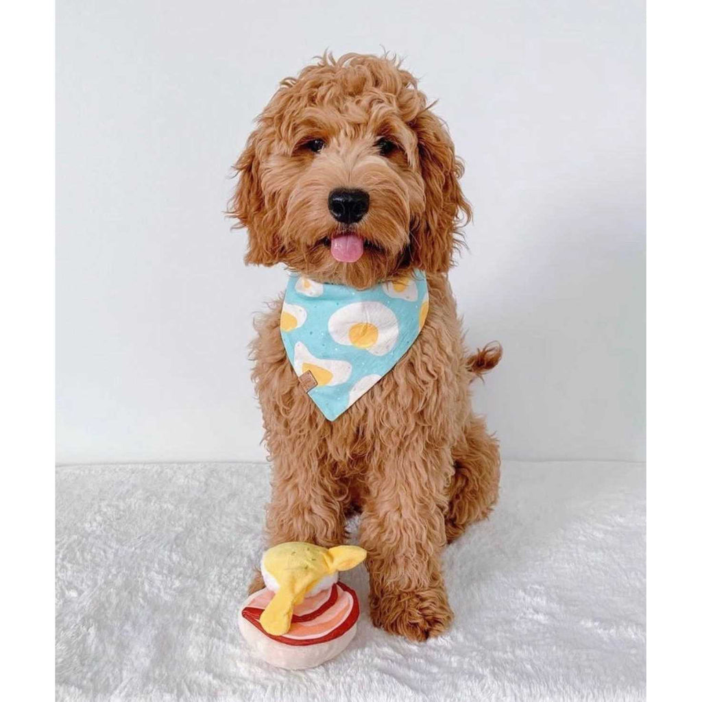 Dog Toy E53344