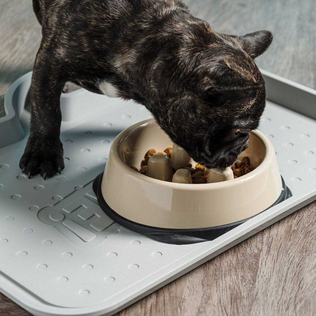 Slow Feeding Bowl for Short Snouted Pets Y602627