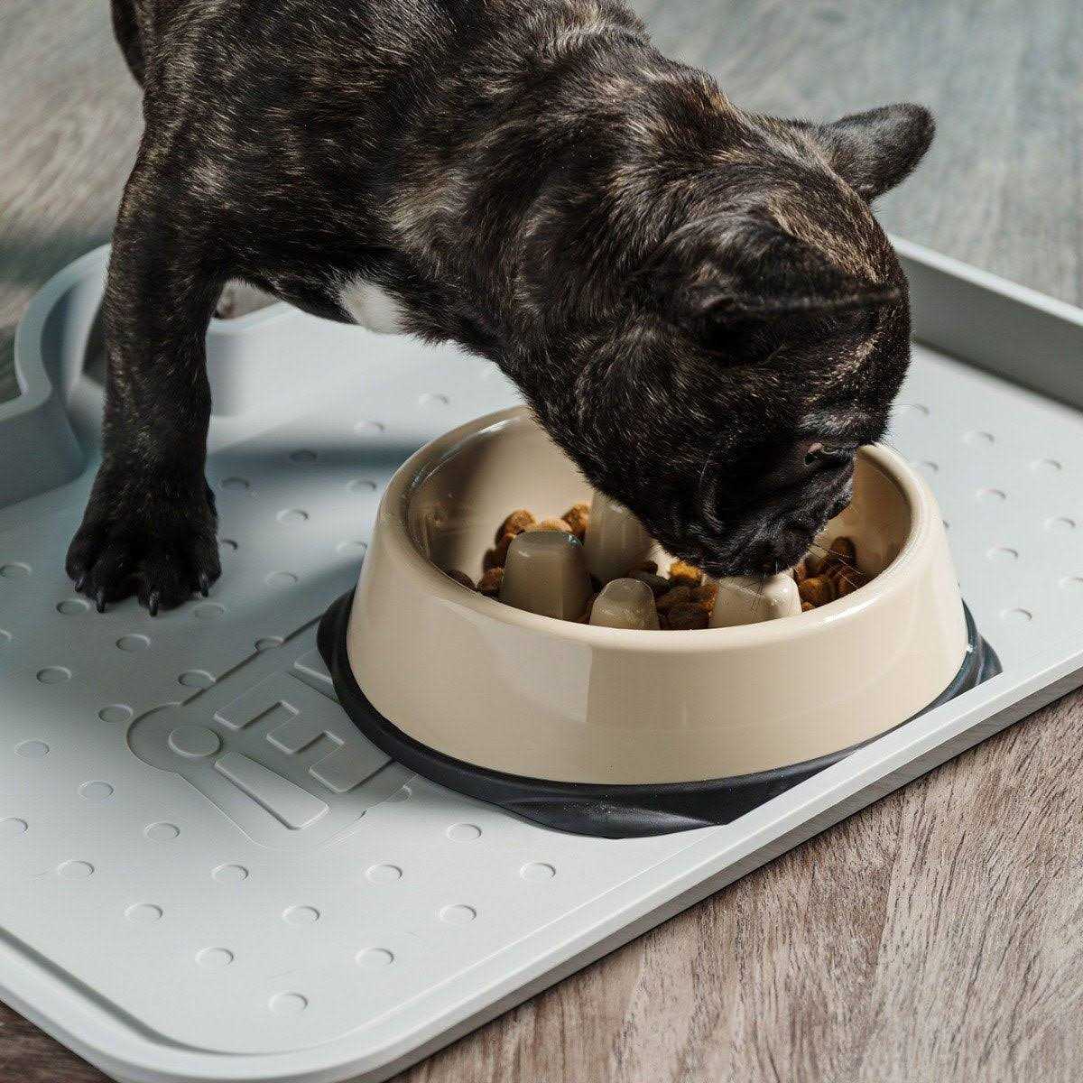 Slow Feeding Bowl for Short Snouted Pets Y602627