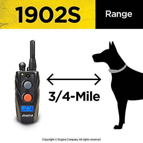 Remote Training Collar L703154