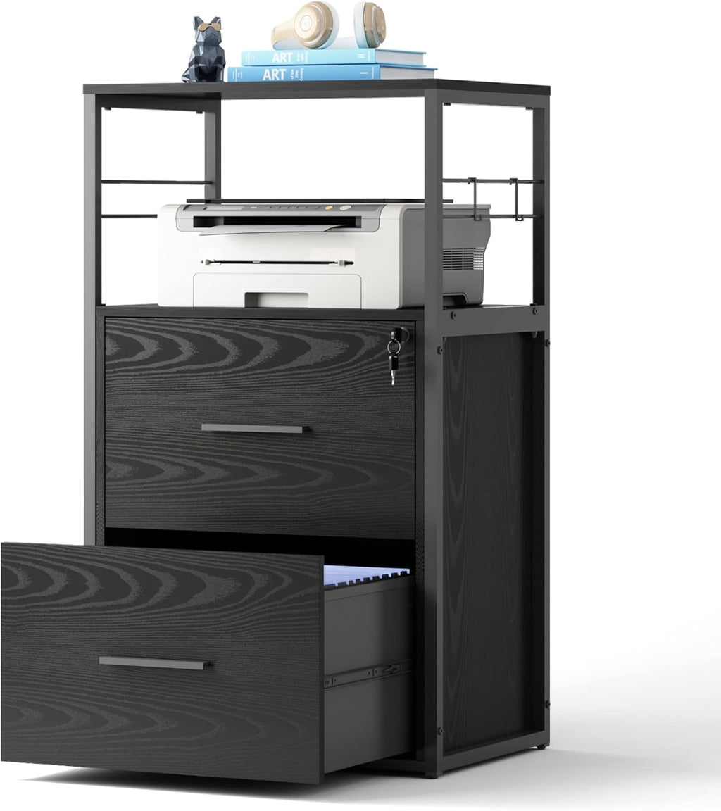 2 Drawer Black Lateral File Cabinet with Lock W7998