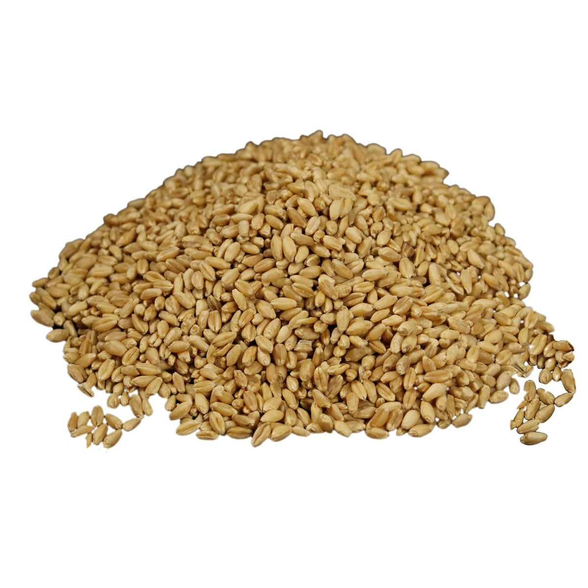 Soft White Wheat Berries 23 lbs Z873783