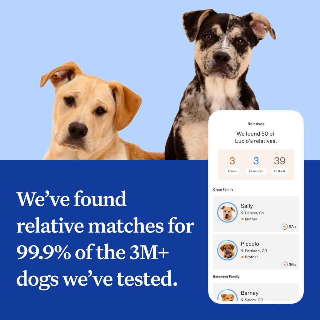 Dog DNA Test Kit M25081