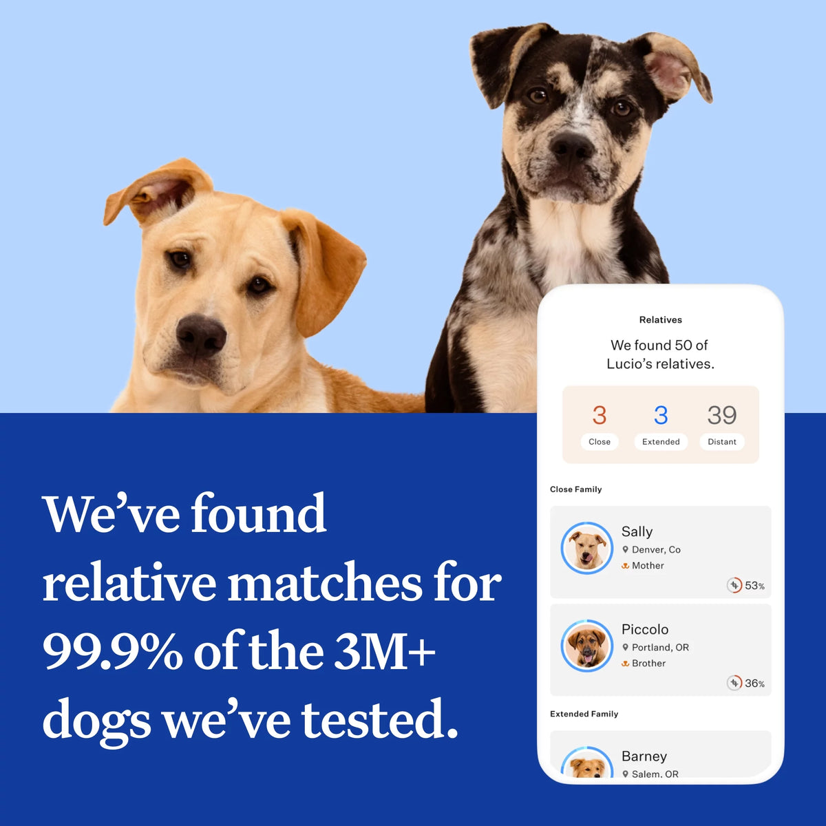 Dog DNA Test Kit M25081