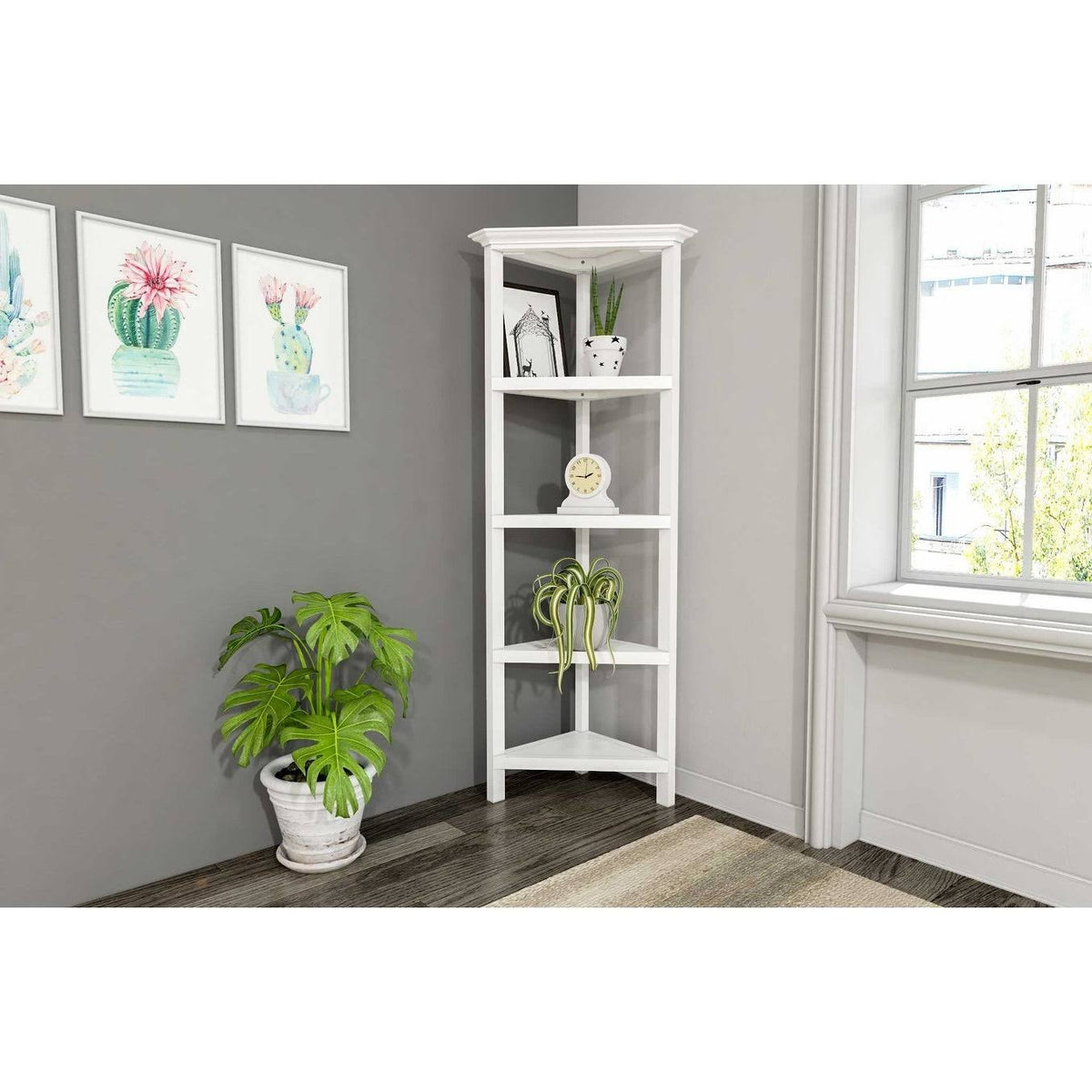White 2 Shelves Bookcase W12964